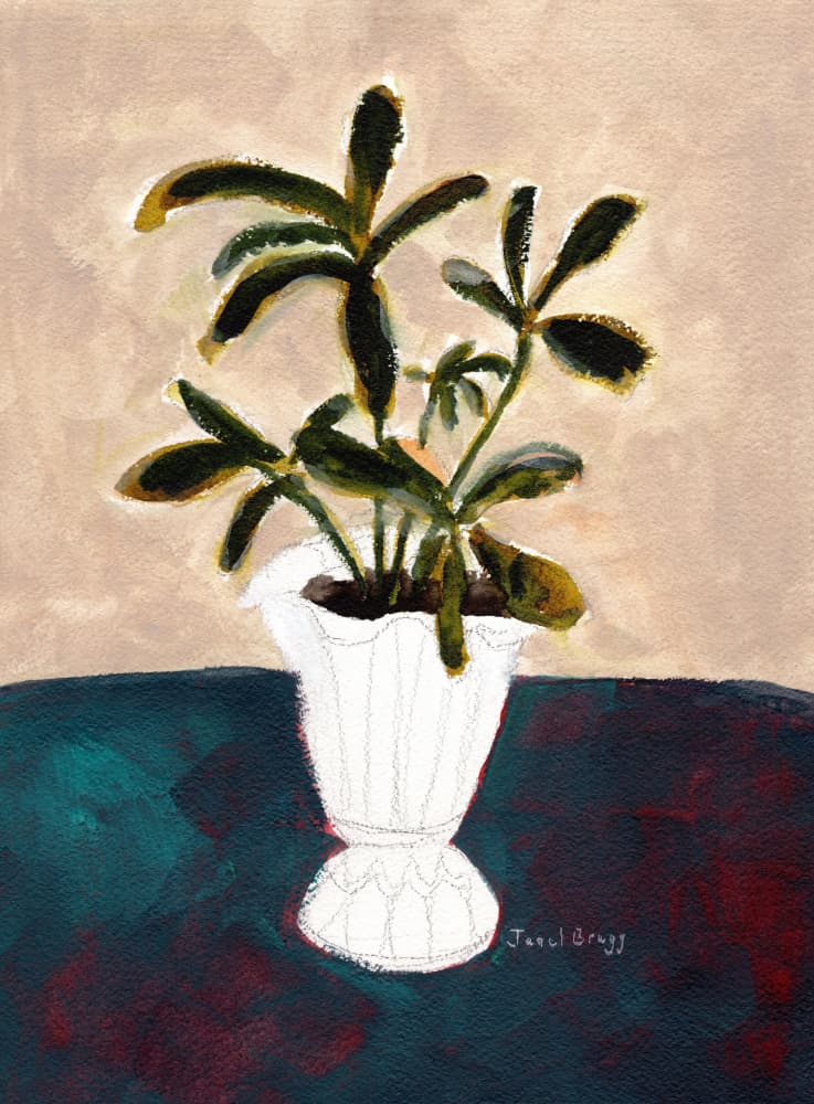 Classic Houseplant Still Life by Janel Bragg — canvas wall art