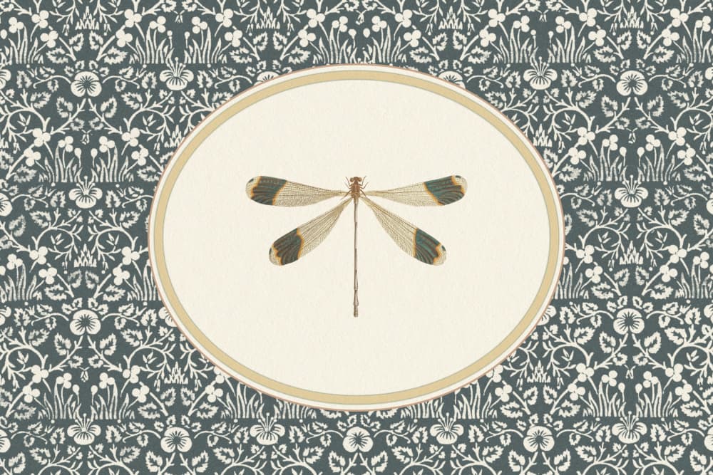 Elegant Dragonfly Vignette by Wild Violets — canvas wall art