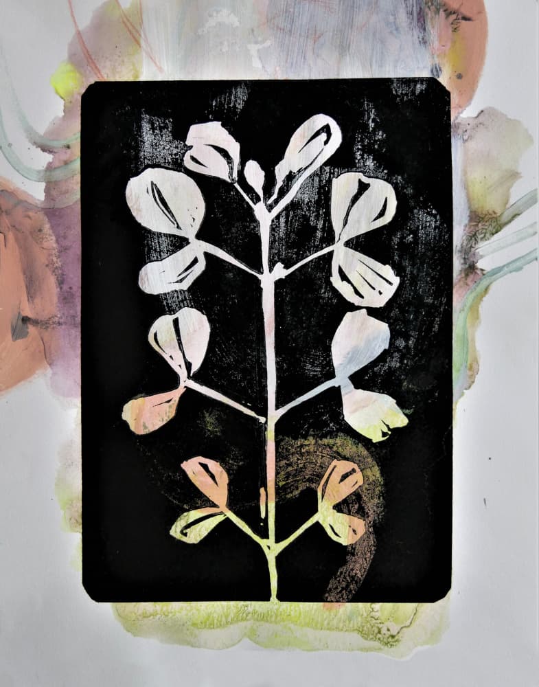 Pastel Botanical Study by Doris Schmitz — canvas wall art