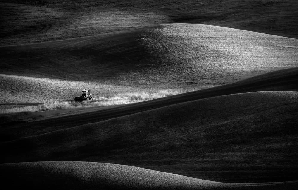 Tractor on Rolling Hills by Rob Darby — canvas wall art