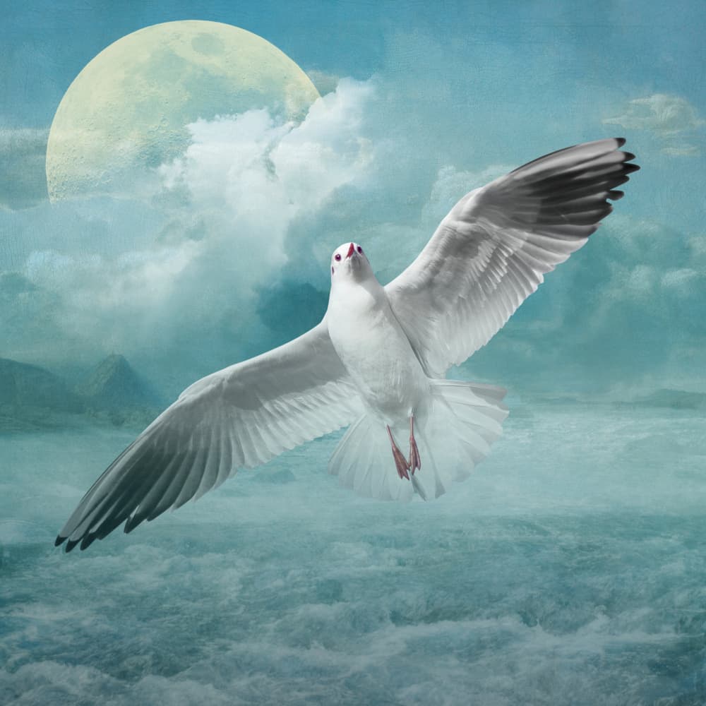 Of Seagulls and Seas by Marja van den Hurk — canvas wall art