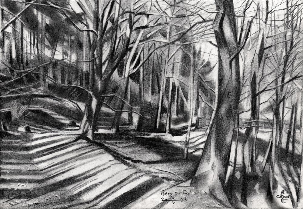 Forest Path Shadows by Corné Akkers — canvas wall art