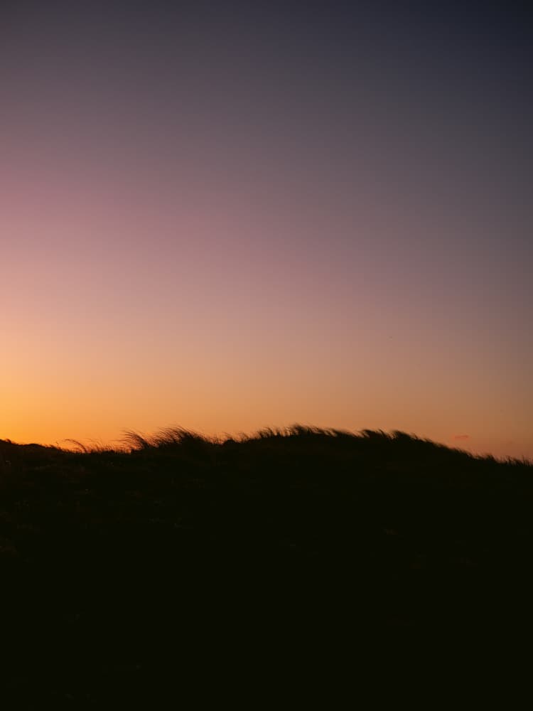 Dune Grass Sunset by Raisa Zwart — canvas wall art