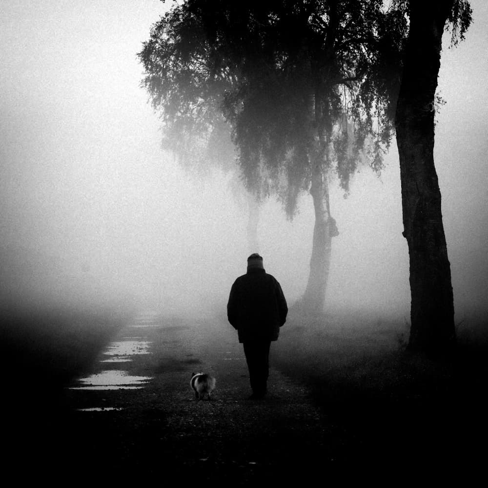 Man And Dog In Fog by Renate Wasinger — canvas wall art