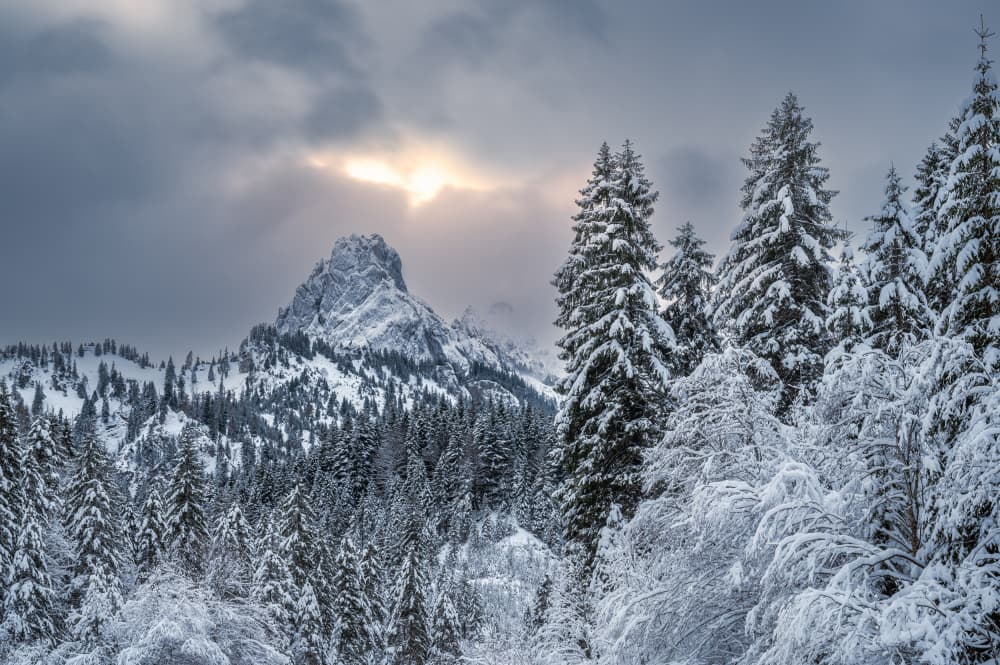 Winter Mountain Sunlight by Anastasios Gialopoulos — canvas wall art