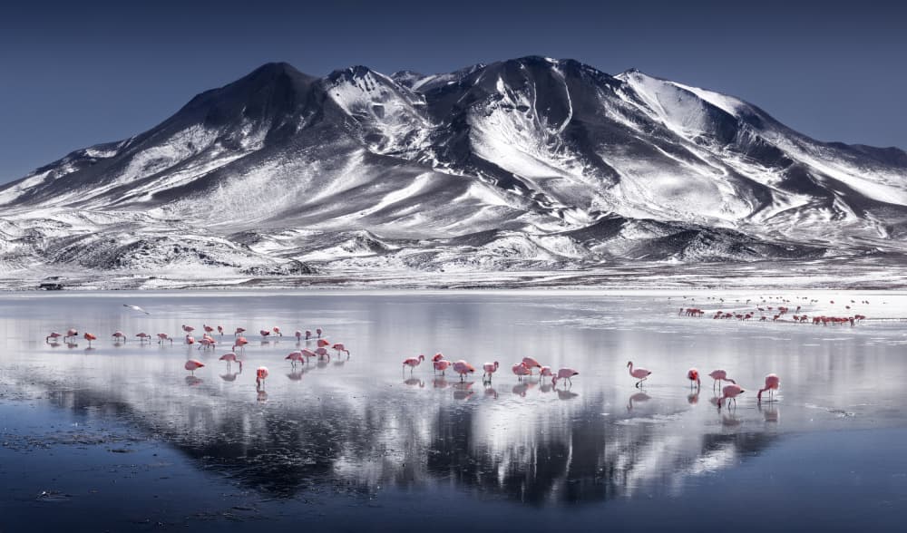 Altiplano by Karol Nienartowicz — canvas wall art