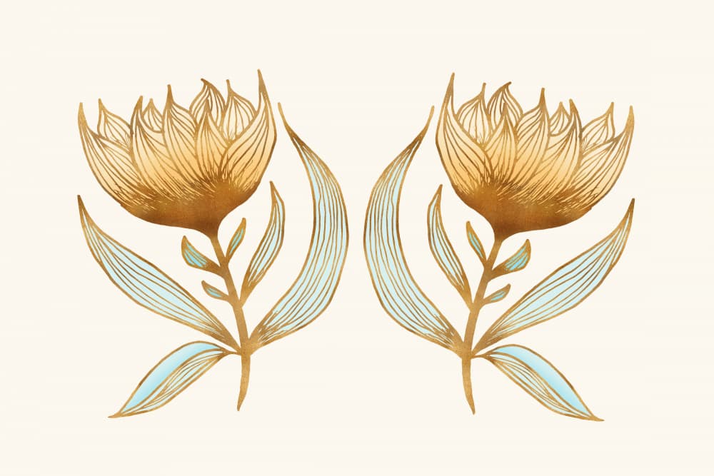 Sunflower Queens 4 by Kristian Gallagher — canvas wall art