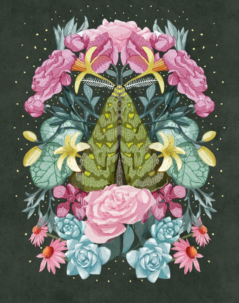 Night Pollinator by Katie O'Shea — canvas wall art