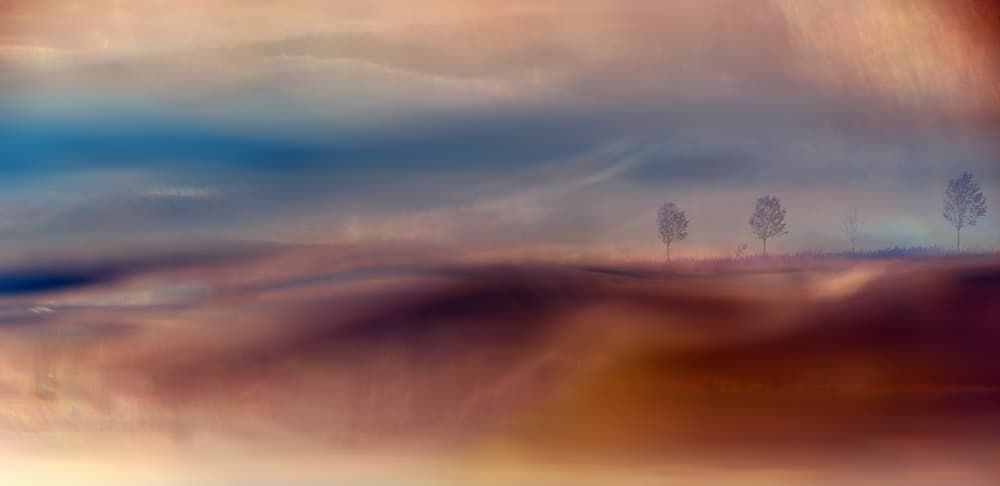 Dreamy Horizon Landscape by Heidi Westum — canvas wall art
