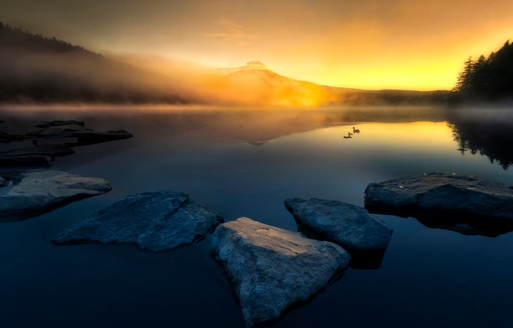 Misty Golden Lake Sunrise by Larry Deng APA — canvas wall art