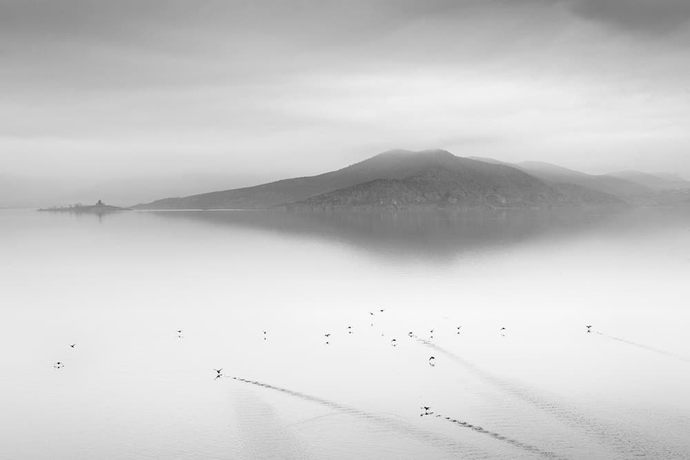 Misty Mountain Lake Birds by George Digalakis — canvas wall art