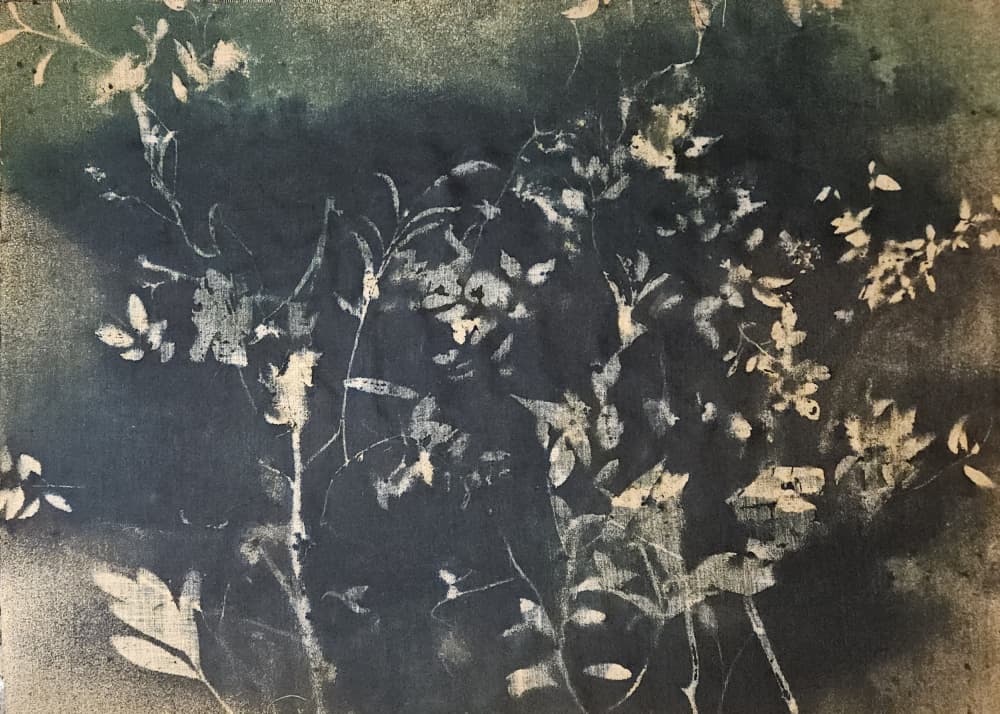 Dark Botanical Silhouettes by Stefano Mazzolini — canvas wall art