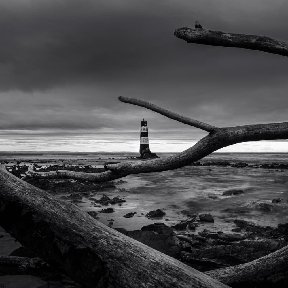 Lighthouse Through Branches by Ray Truter — canvas wall art