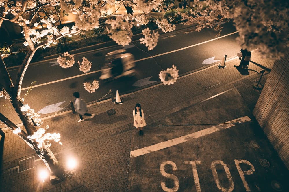 Sakura Night Street View by 7 Flavor C/P — canvas wall art