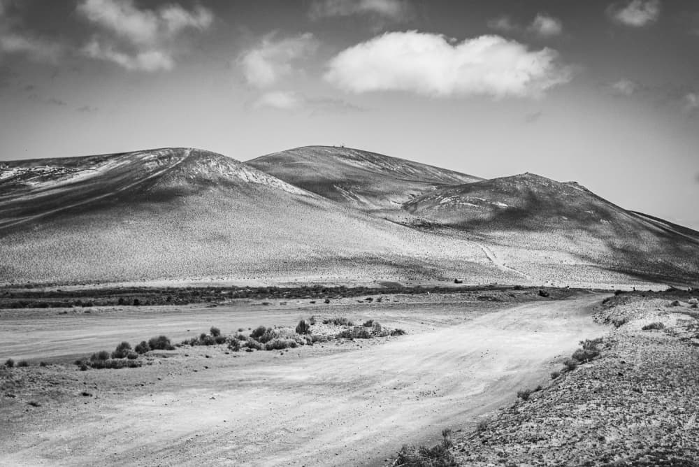 Winding Desert Road by Michael Bangiev — canvas wall art