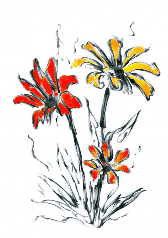 Vibrant Floral Sketch by Kulik — canvas wall art