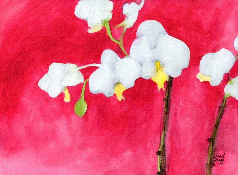Vibrant Orchids On Red by Janel Bragg — canvas wall art