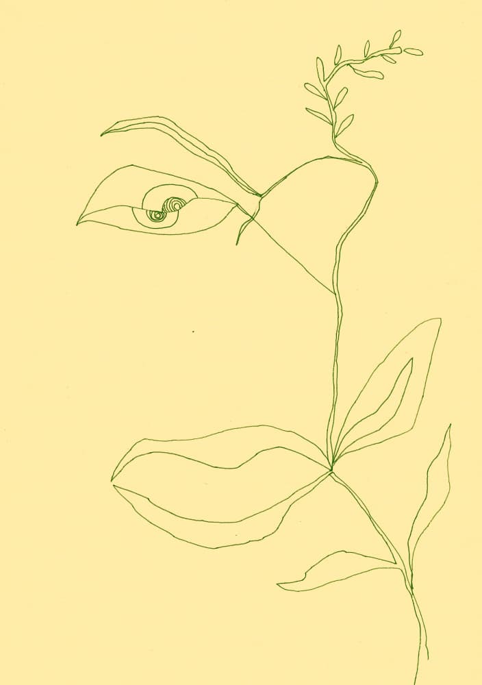 Minimalist Green Bloom by Santhosh ch — canvas wall art