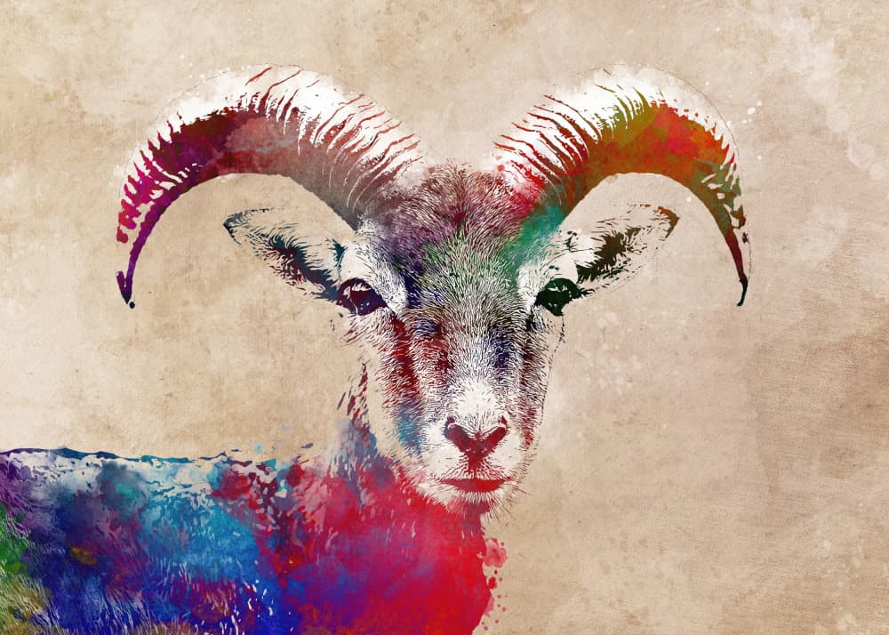 Vibrant Watercolor Ram by Justyna Jaszke — canvas wall art