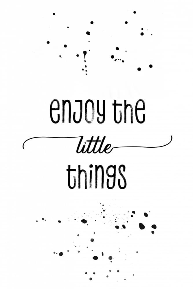 Enjoy The Little Things by Melanie Viola — canvas wall art