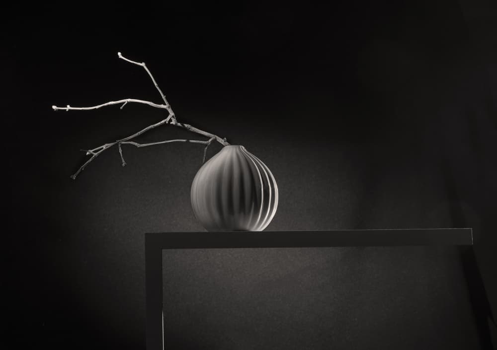Elegant Branch Still Life by Evgeniy Popov — canvas wall art