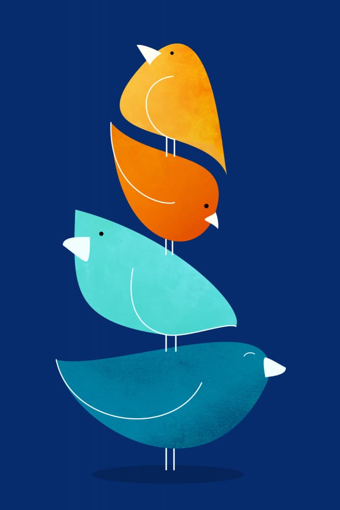 Bird Stack by Kristian Gallagher — canvas wall art