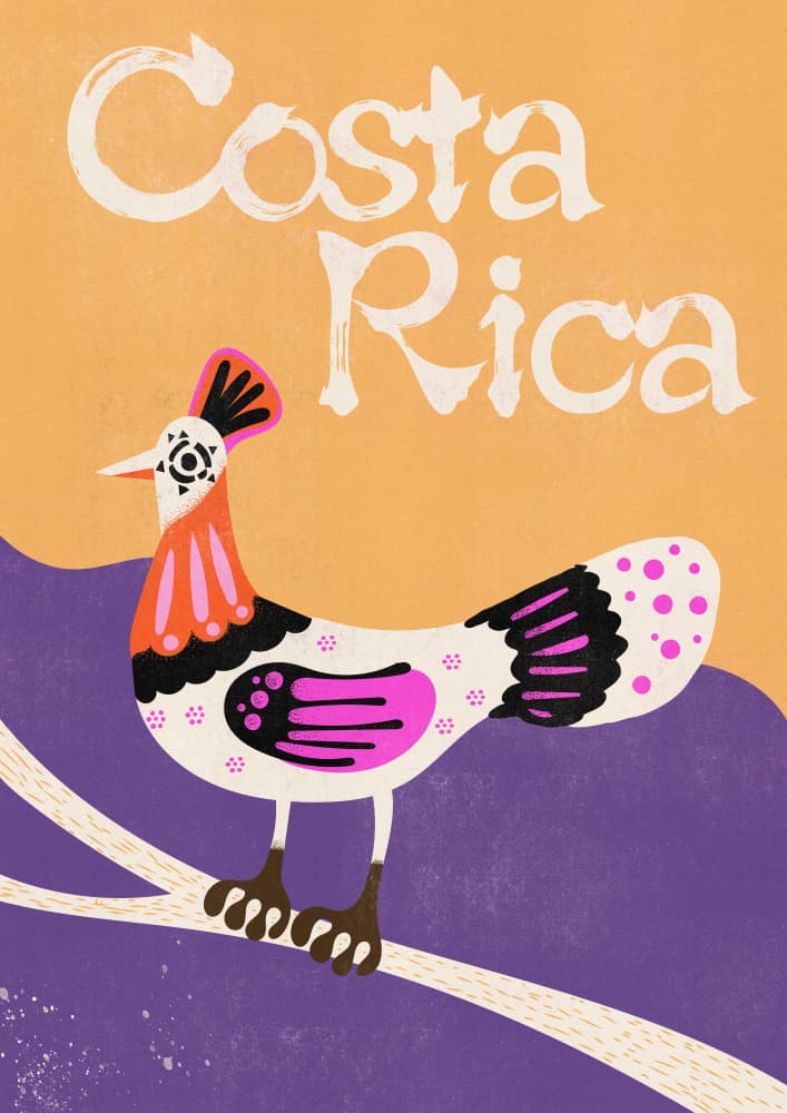 Costa Rica Folk Bird by Nicholas — canvas wall art
