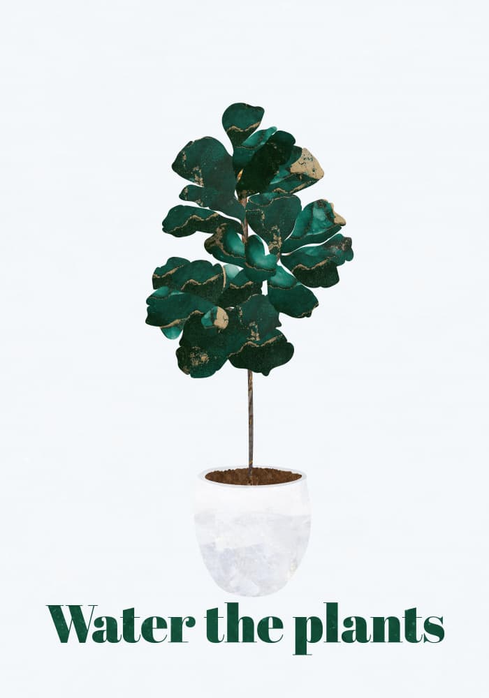 Water The Plants by Sarah Manovski — canvas wall art
