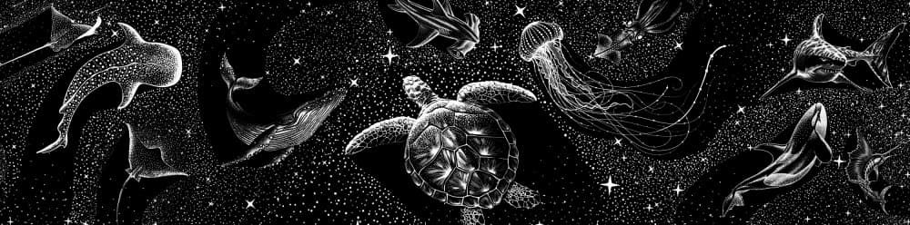 Cosmic Ocean Creatures by Alirıza ÇAKIR — canvas wall art