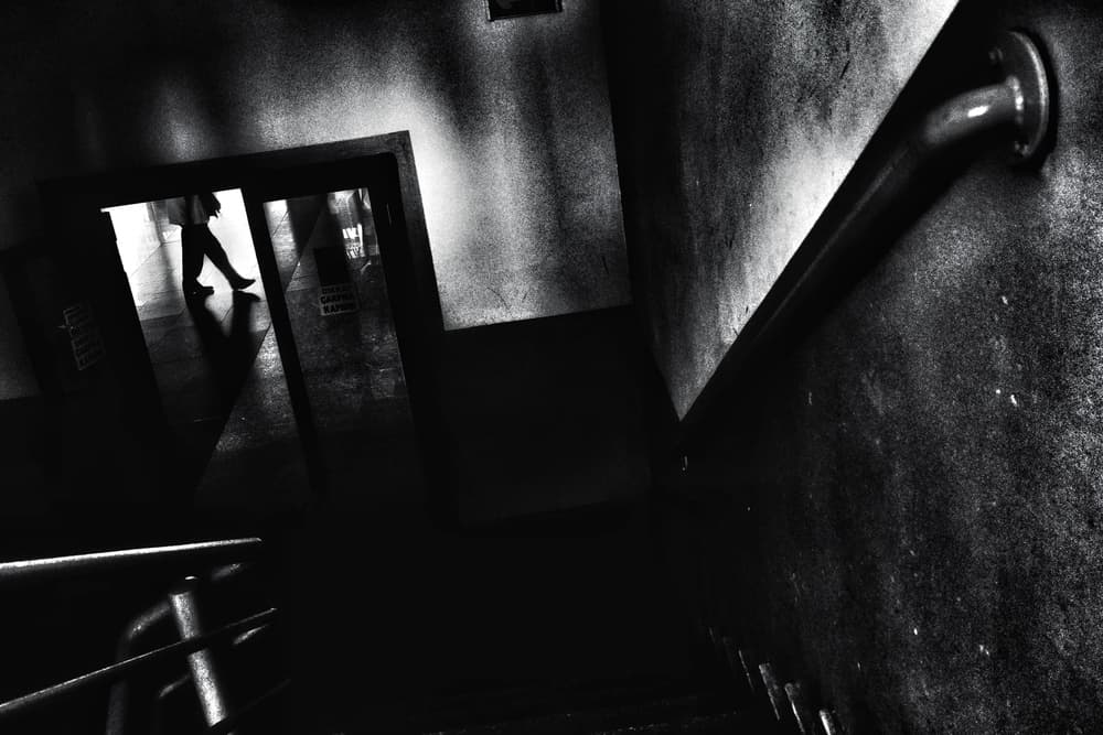 Steps into Light by Ali Ayer — canvas wall art