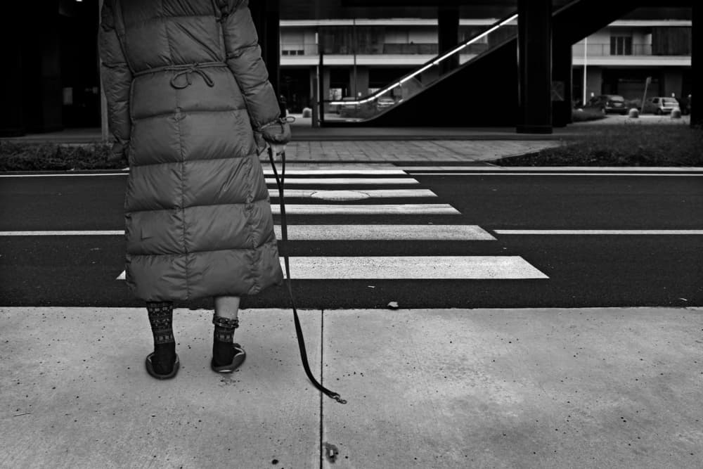 Winter City Stroll by Mister Solo — canvas wall art