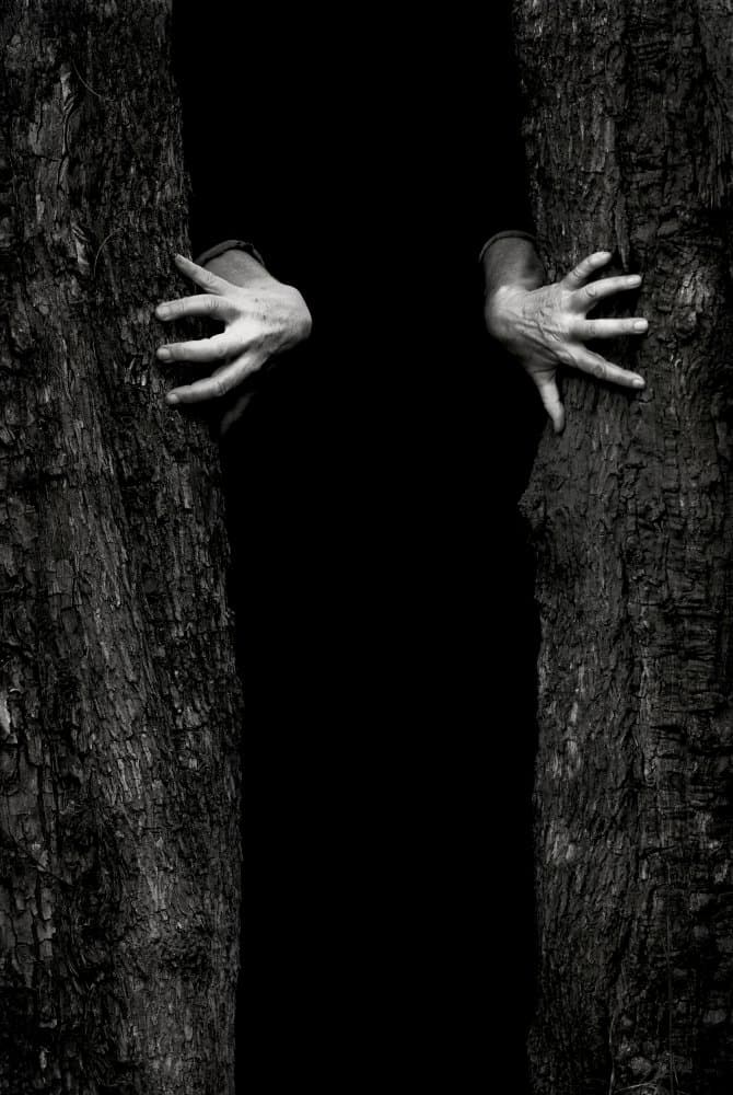 Spooky Hands Dark Trees by Gaby Grohovaz — canvas wall art