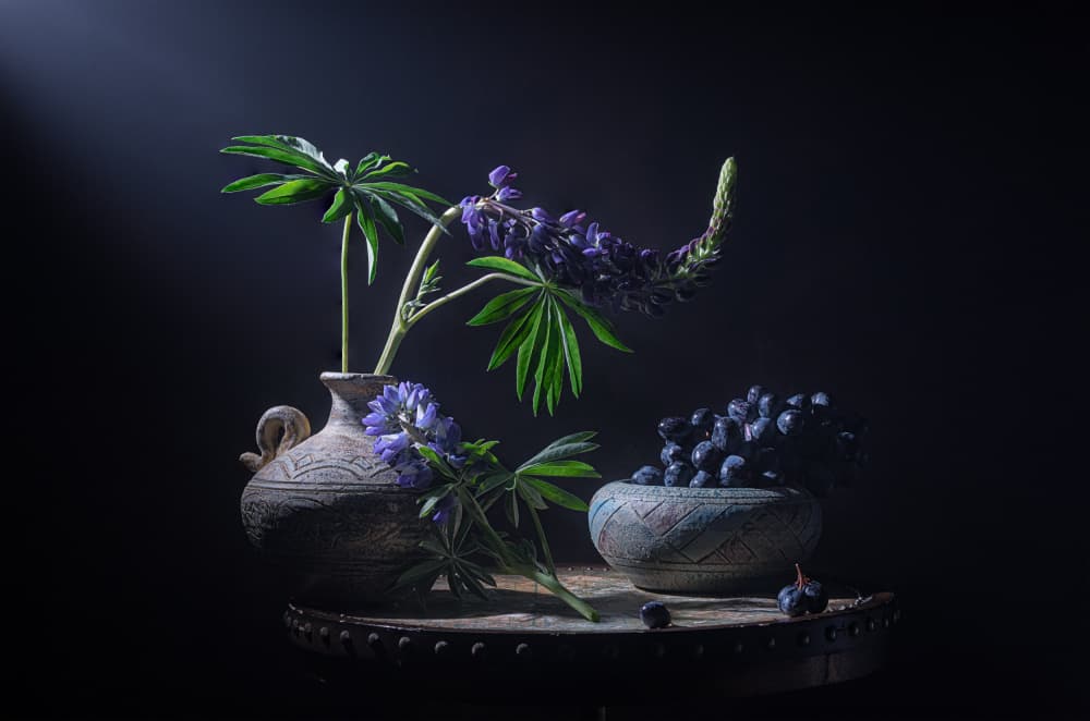 Moody Lupines and Berries by Lydia Jacobs — canvas wall art