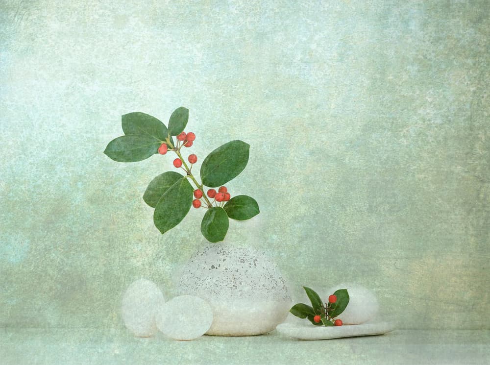 Natural Berry Stone Zen by Catherine Wang — canvas wall art