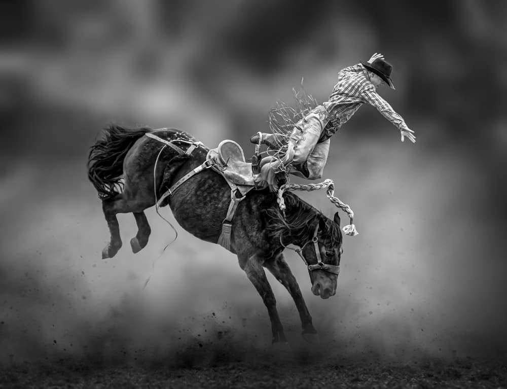 Rodeo Cowboy Falling by Irene Wu — canvas wall art
