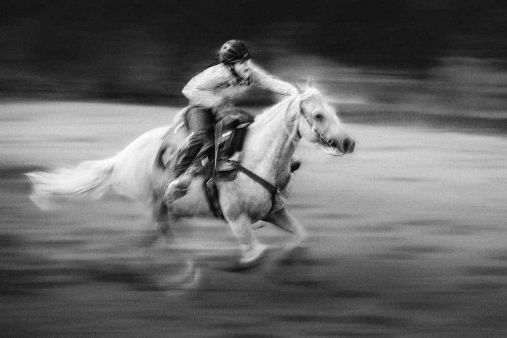 Speeding Horse and Rider by Steven Zhou — canvas wall art