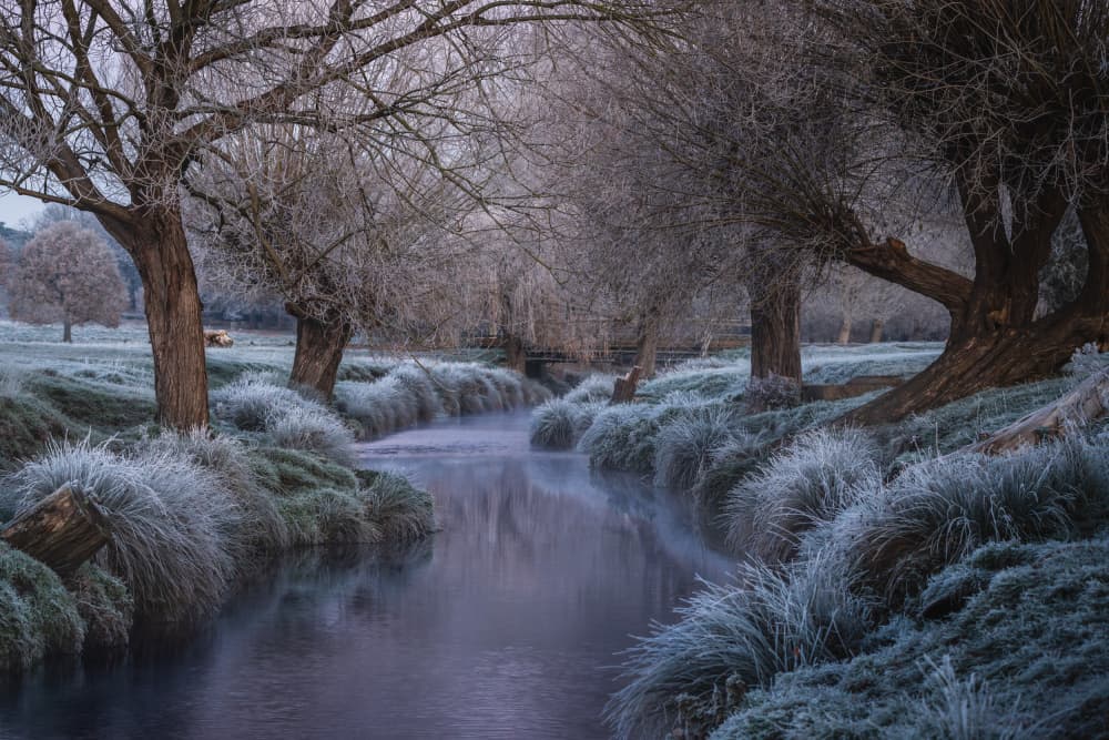 Serene Frosty Winter Stream by Andreea Selagea — canvas wall art