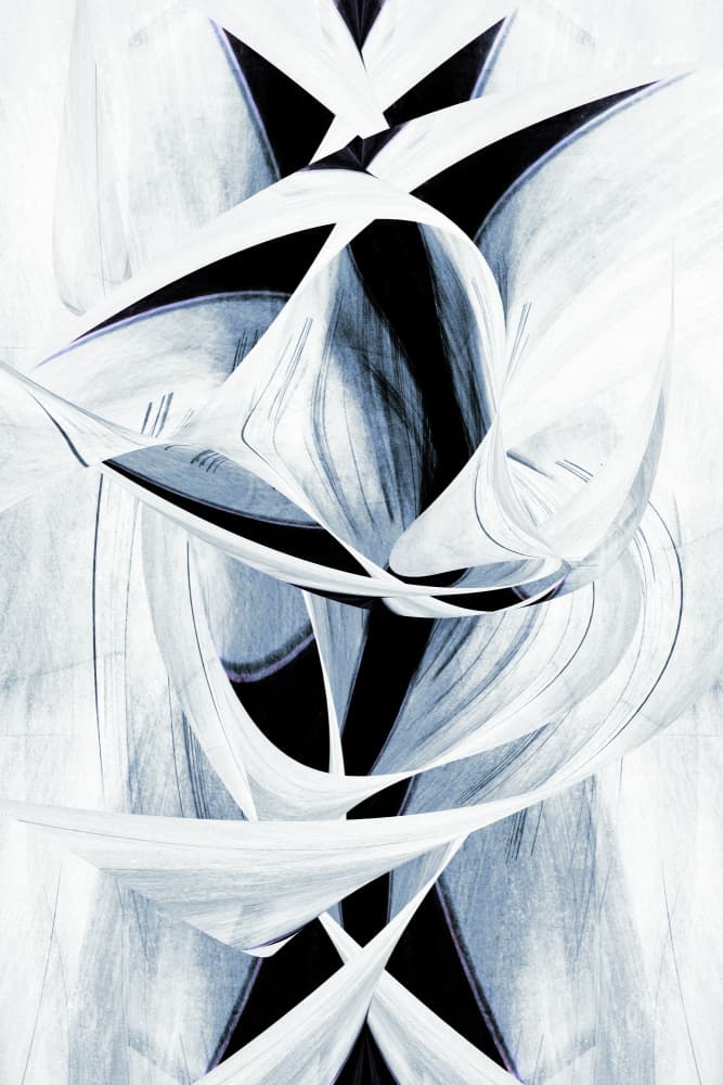 Elegant Monochrome Swirl by Christina Sillen — canvas wall art