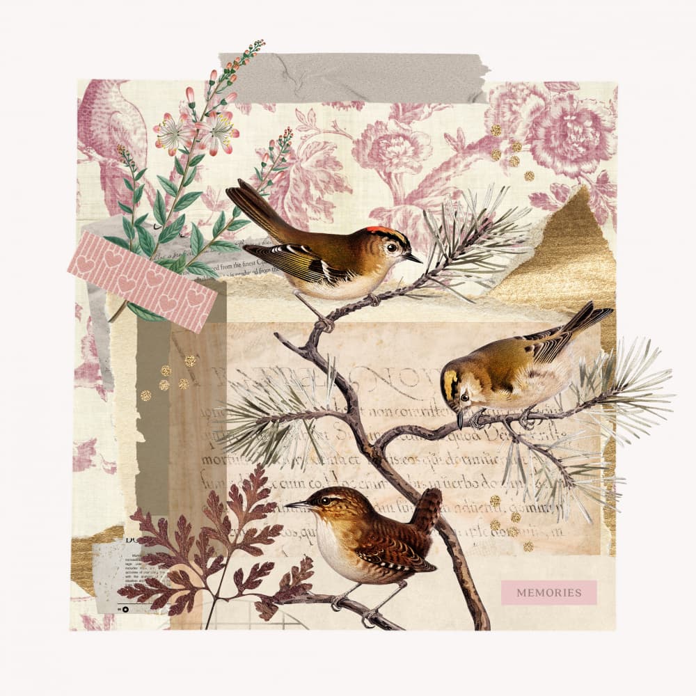 Rustic Bird Collage by Marja van den Hurk — canvas wall art