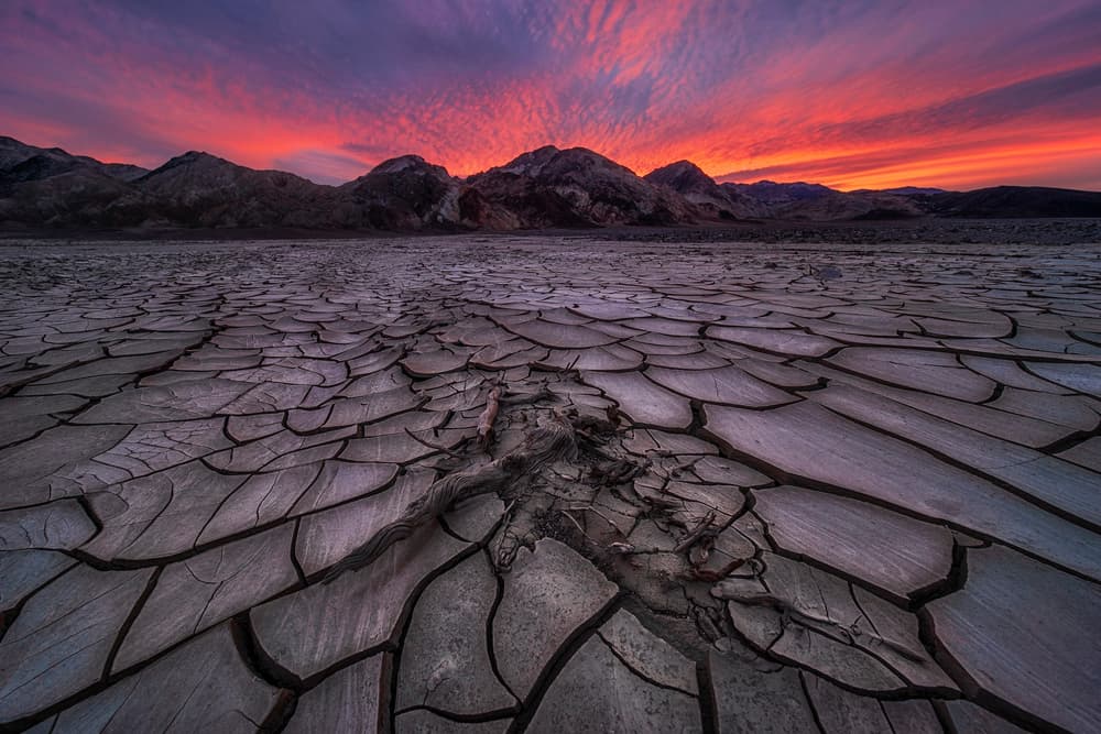 Vibrant Cracked Earth Sunset by Lydia Jacobs — canvas wall art