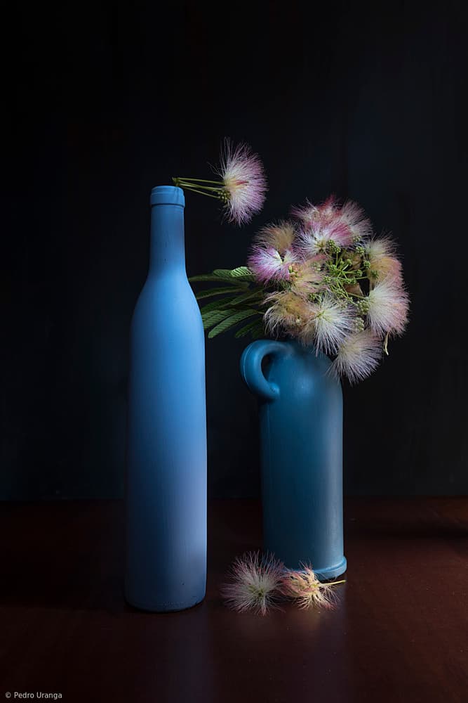 Botanical Blues and Pinks by Pedro Uranga — canvas wall art