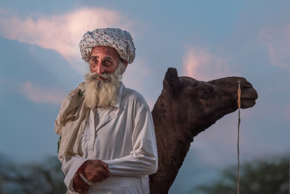 Old Man and Camel by Rana Jabeen — canvas wall art