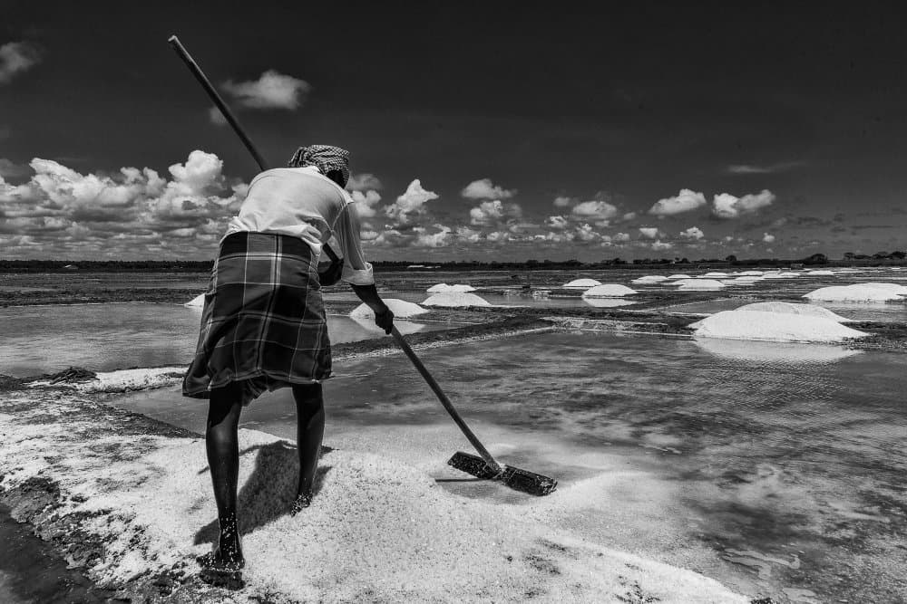 Traditional Salt Harvest by BALASUBRAMANIAN GV — canvas wall art