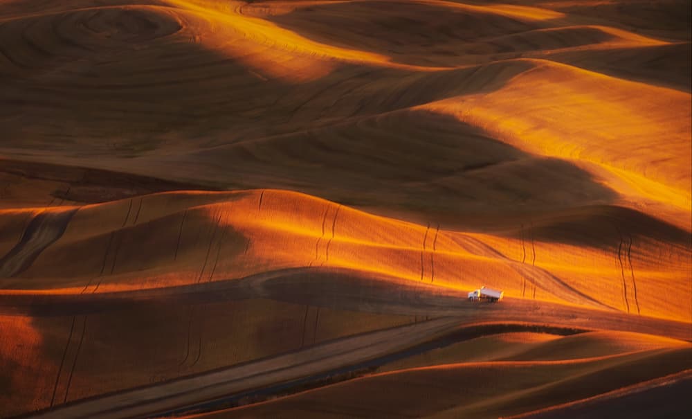 Golden Harvest Fields by Hanping Xiao — canvas wall art