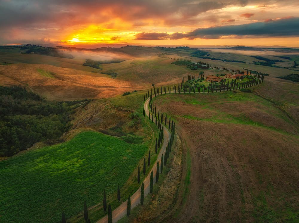 Golden Tuscan Cypress Road by Mei Xu — canvas wall art