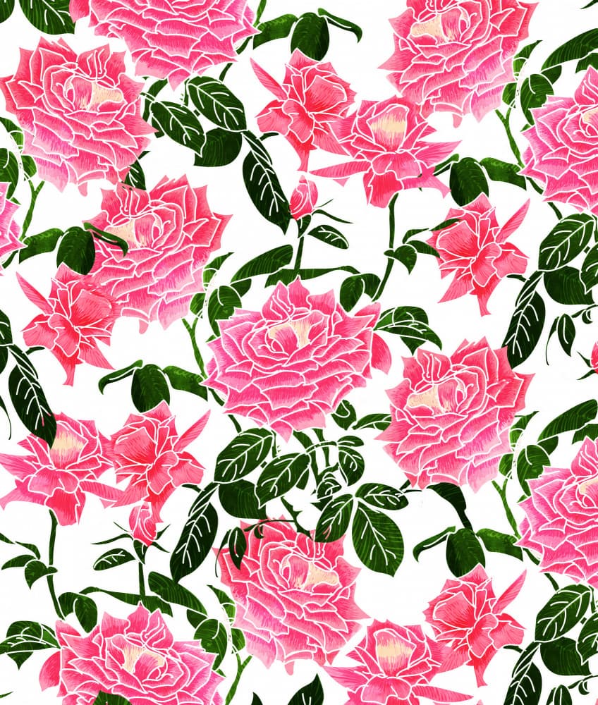 Vibrant Pink Roses by Uma Gokhale — canvas wall art