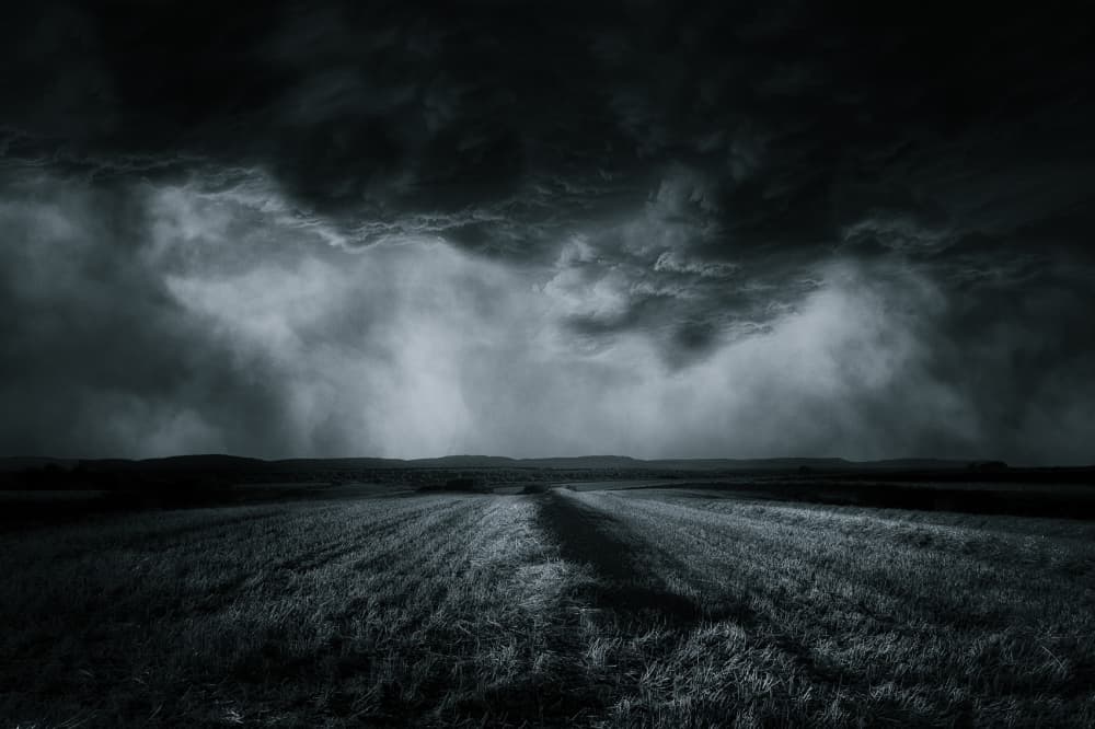 Dark Stormy Field by Stefan Eisele — canvas wall art
