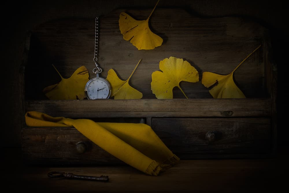 Golden Leaves and Time by Lenka — canvas wall art