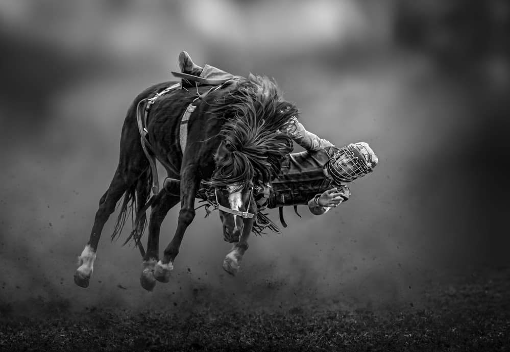 Bucking Bronc Rider by Irene Wu — canvas wall art