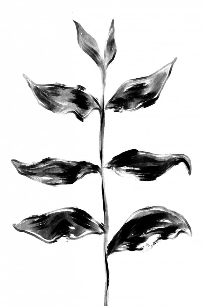 Monochrome Botanical Study by Martina — canvas wall art
